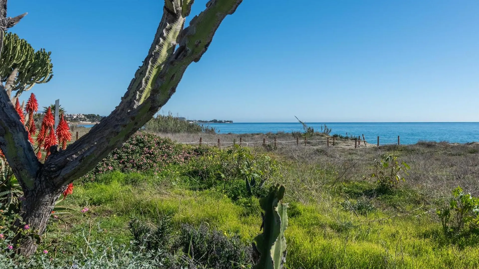 Apartment Apartamento De Lujo A 30M Playa Estepona